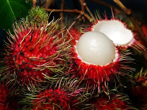 2 cut a slit in the skin. Papaleng Thoughts-Unplugged: 10 Exotic Spiky Fruits