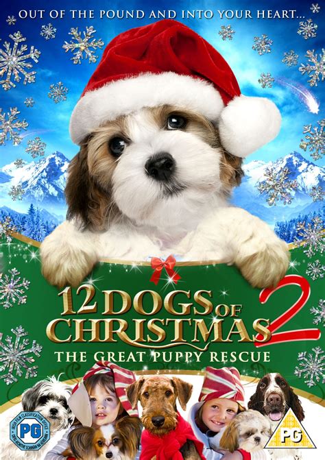 It's like a christmas movie were all these kids live in this orphanage and my grandma was saying the lady who ran the orphanage wouldn't let the kids have a christmas. Christmas movie: '12 Dogs of Christmas 2: The Great Puppy ...