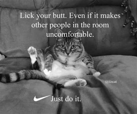 Nike Just Do It Cat Memes That Will Make Your Caturday Meowingtons