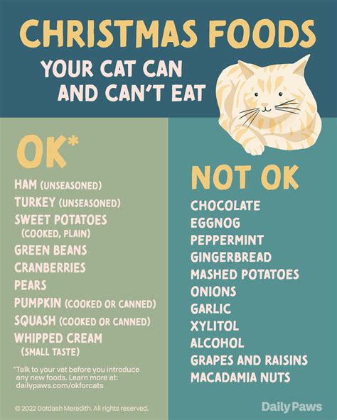 Christmas Foods Cats Can And Cant Eat According To A Vet Daily Paws