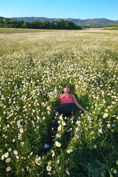 Chica En El Campo De La Flor De La Rueda De Margarita Foto De Archivo Imagen De Vida