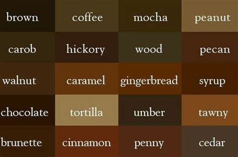 10 Macam Warna Coklat Sejaran Hingga Fakta Unik Di Baliknya Semua