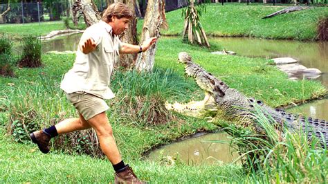 Steve Irwin The Crocodile Hunter In His Own Words Abc News