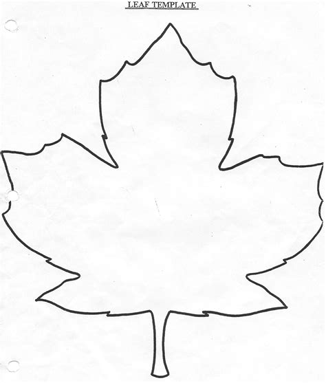 Line Drawing Of Leaves At Getdrawings Free Download