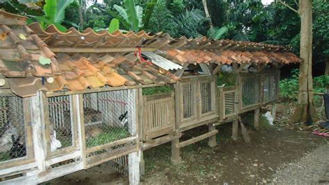 Check spelling or type a new query. Contoh Kandang Kelinci dari Bahan Kayu dan Bambu - ASEVHA ...