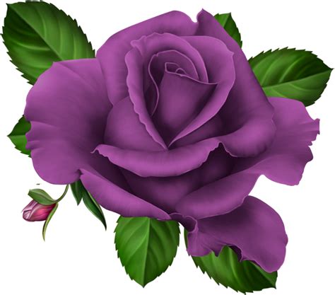 Forgetmenot Purple Roses