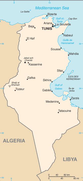 Maps Of Tunisia Worldometer