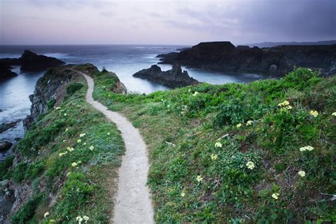 Spring Blooms And Inspiring Seascapes On The Mendocino Coast Cabbi