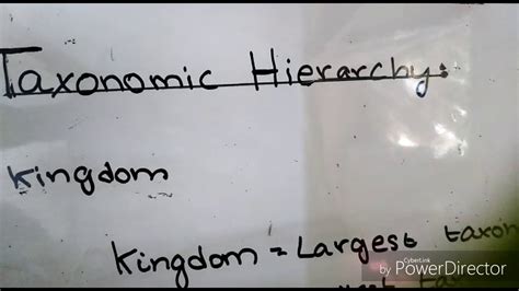 Topic Class 9 Taxonomic Hierarchy Youtube