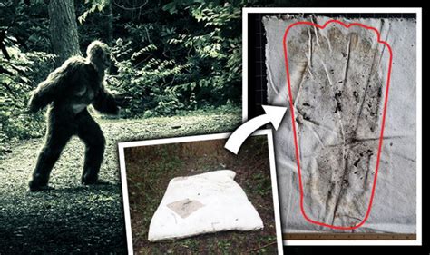 Bigfoot Proof Sasquatch Hunter Discovers Huge Footprint In Us
