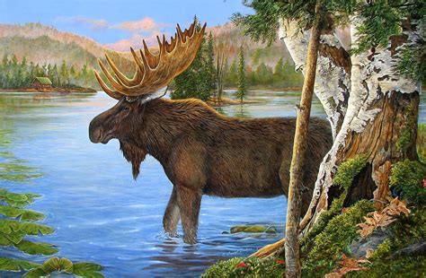 Majestic Moose Wildlife Art Studio
