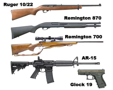 A gun with high damage output and a high fire rate can slow down enemies making them easier to hit. Top Five Survival Guns? - Preparing for shtf