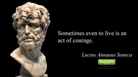 Ultimate Stoic Quotes That Will Change Your Life ToPositive
