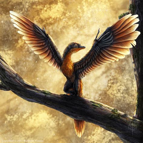 Archaeopteryx Lithographica Commission Rushelle Kucala On Artstation