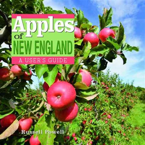 What Is The Best Pie Apple New England Apples