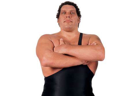 They knew andre took after his bulgarian grandfather. Andre The Giant | WWE 2Ks | Fandom powered by Wikia