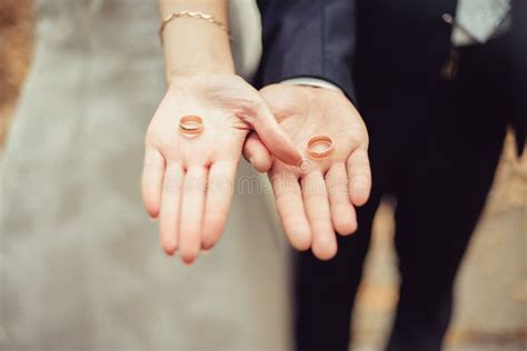 Newly Wed Couple S Hands With Wedding Rings Stock Image Image Of Gold Greeting 73663265