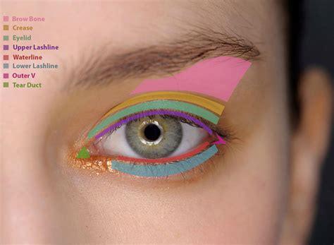 This tutorial will show you how to apply basic eyeshadow for beginners, regardless of your skin tone. How to Apply Eye Makeup: What Products to Put Where | Fashionisers©