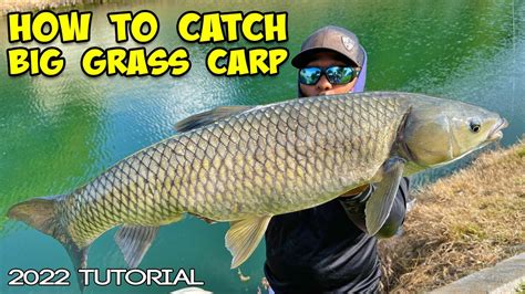How To Catch Grass Carp Best Carp Fishing Tutorial 2022 Youtube
