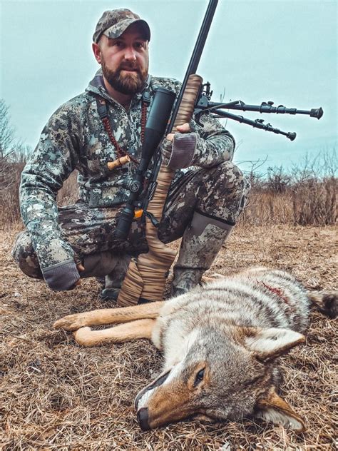 Coyote Hunting Video Look In His Eye Downwind Outdoors