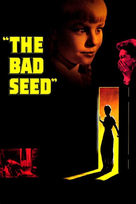 Where To Watch And Stream The Bad Seed Free Online