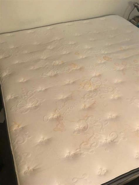 We tend to have floor, bathroom and kitchen clear of any dust and insects but often forget to make sure to disinfect and clean our mattress. Before | Steam clean mattress, Mattress cleaning, Mattress