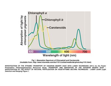 Absorption Spectrum Of Chlorophyll Download Scientific Diagram