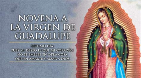 Séptimo Día De La Novena A La Virgen De Guadalupe Mi Diócesis De