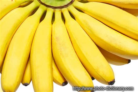 Bananas Photopicture Definition At Photo Dictionary Bananas Word