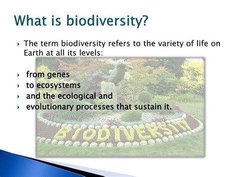 Ppt Biodiversity Powerpoint Presentation Free Download Id4995001