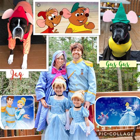 Designed and made by becky trigg. Cinderella group costume | Family costumes, Diy halloween costumes, Group costumes