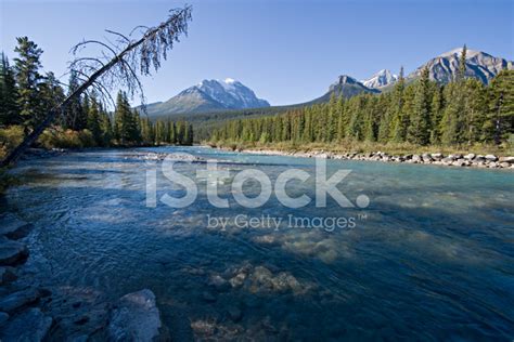 Alberta Canada Canadian Rockies Stock Photo Royalty Free Freeimages