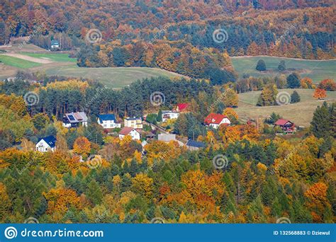 Aerial View Of The Autumn Forest Stock Image Image Of East Outdoor