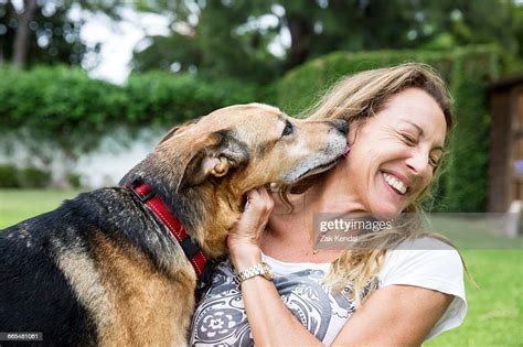 Mature Woman In Park With Dog Dog Licking Womans Face High Res Stock