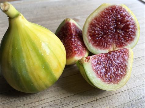 From appetizers to desserts, there's a place for figs in every course of a meal. Adriatic Green Tiger Figs