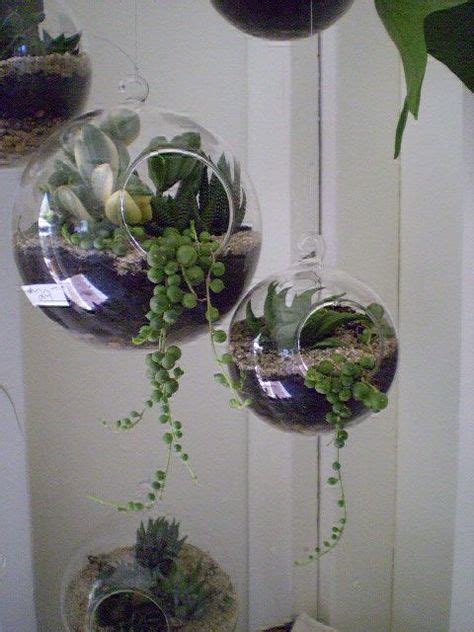 Hanging Glass Globe Vase Decor For You
