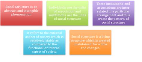 Social Structure Social Structure Definition Types Of Social