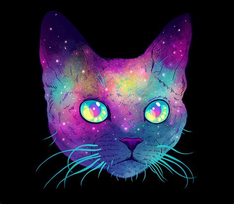 Galactic Cats Psychedelic Illustrations Merge Cats And Space Demilked