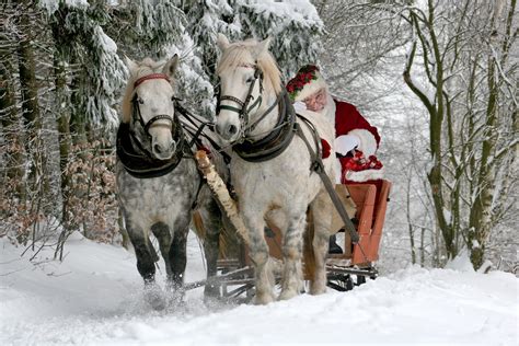 Christmas Horse Screensavers