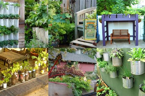 5 Unique Vegetable Gardens Blog Post At