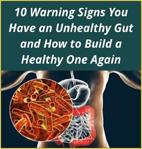Read More About 10 Warning Signs You Have An Unhealthy Gut And How To