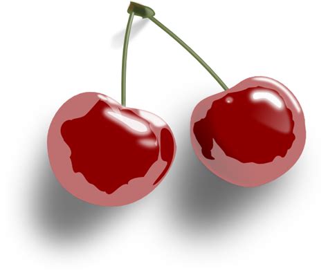 Cherry Strawberry Fruit Clip art - cherry png download - 600*505 - Free Transparent Cherry png ...