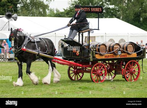 Dray Cart High Resolution Stock Photography And Images Alamy