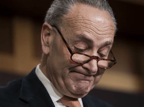 Schumer '98 collected roughly $800,000 in $1,000 or less contributions that had only one spouse's signature, said the lawyer, lyn utrecht. Chuck Schumer Fail: 62% of Americans Want New Supreme ...