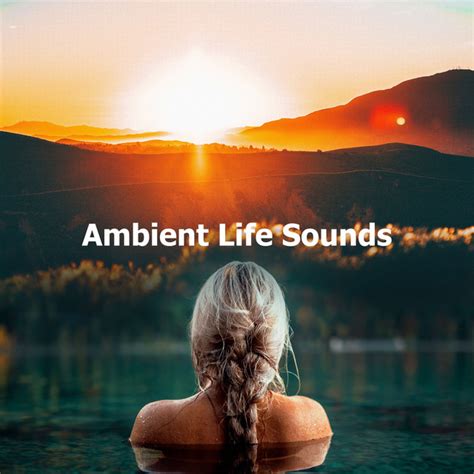 Ambient Life Sounds Album By Ambiente Spotify