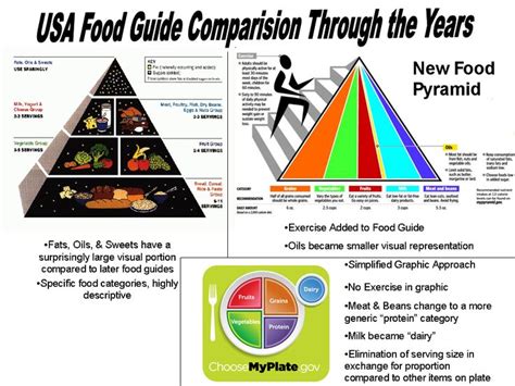 We did not find results for: Food Guide Comparision Through the Years | Family and ...