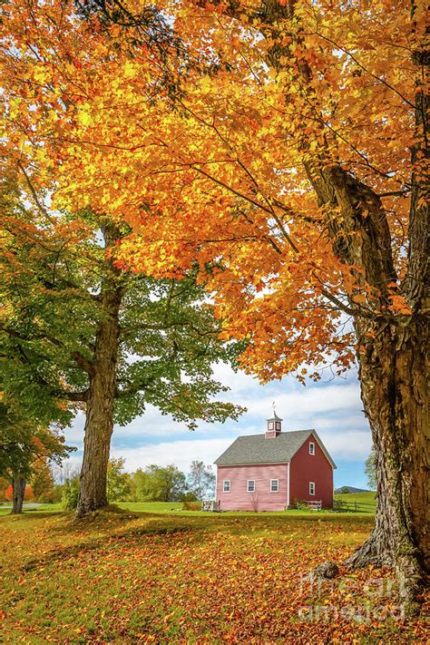 Fall Foliage Season On The Farm Grantham New Hampshire Photograph By
