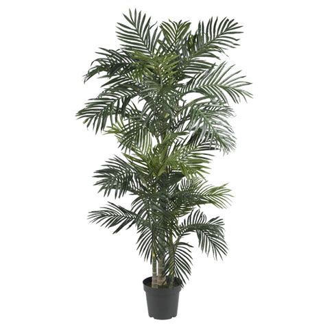 Check out our furniture and home furnishings! Quality Silk Plants Blog: 5 Most Popular Artificial Palm ...