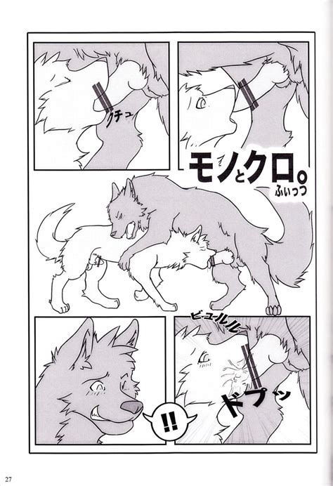 Rule 34 Balls Canine Cum Fellatio Furry Only Gay Japanese Language