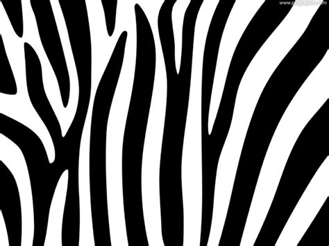 Zebra Stripe Background Pattern Photoshop World Background Patterns